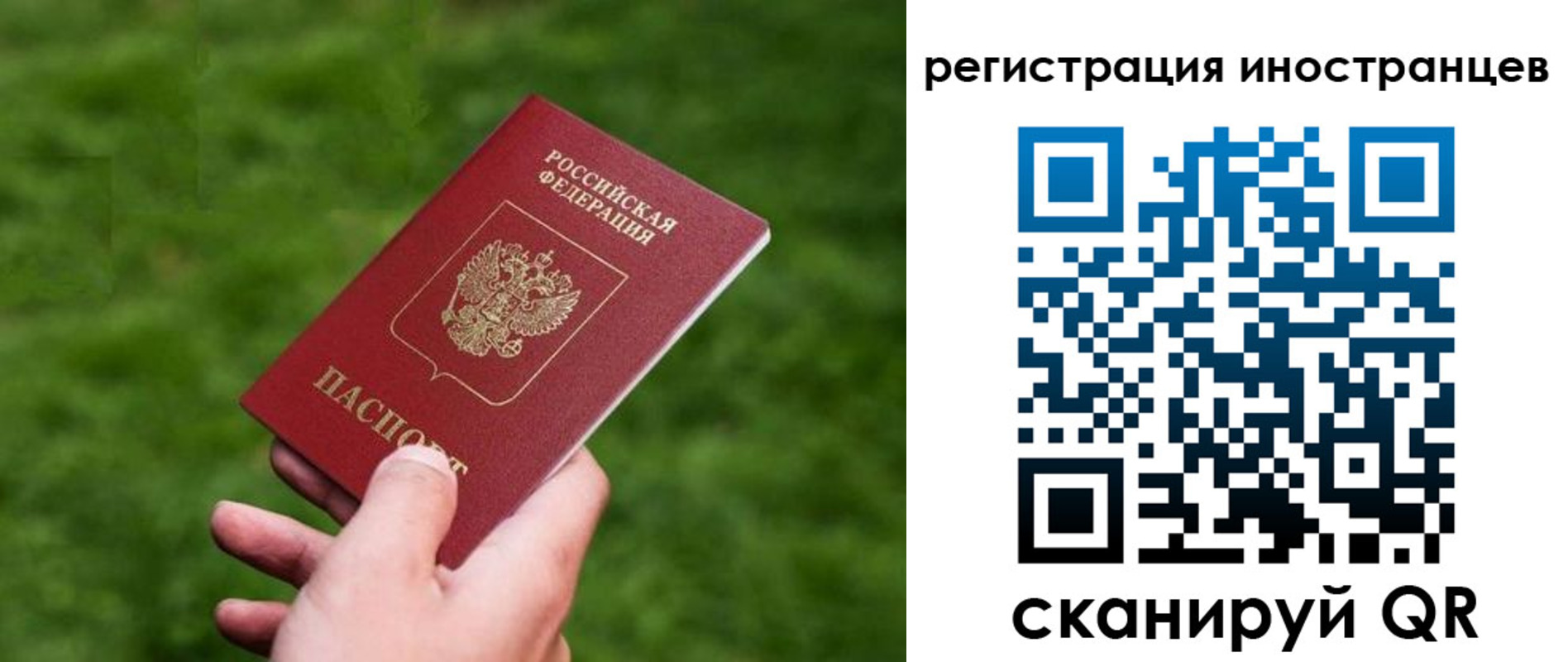 прописка ребенка в Гагарине